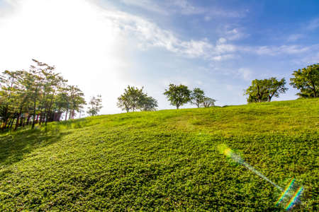 Shenzhen Central Parkの写真素材