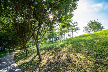 Shenzhen Central Parkの写真素材