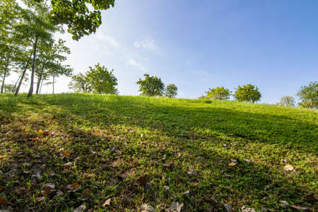 Shenzhen Central Parkの写真素材