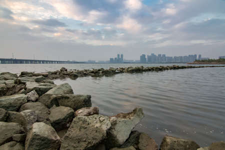 Shenzhen Bay Parkの写真素材