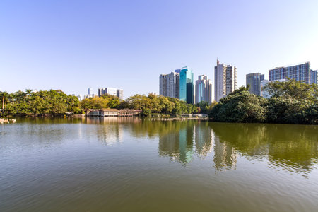 Shenzhen litchi Parkの写真素材