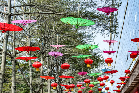 An umbrella and a red lantern hanging on a tree