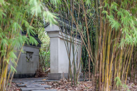 Zhuzilin buildingの写真素材