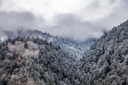 Western Sichuan, China, Baron Hill scenery with snow.の写真素材