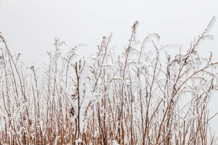 Frozen Winter scenery in sichuan, Chinaの写真素材