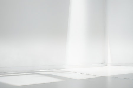 Abstract white studio background for product presentation. Empty room with shadows of window. Display product with blurred backdrop.の写真素材