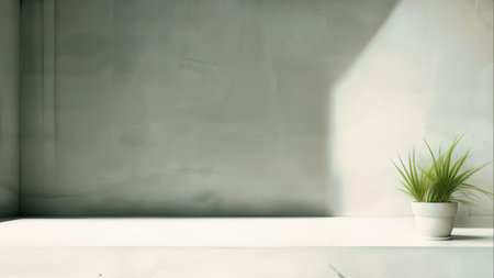 Empty Gray Wall Room interiors Studio Concrete Backdrop and Floor cement Shelf, well editing montage...