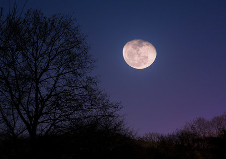 moon riseの写真素材