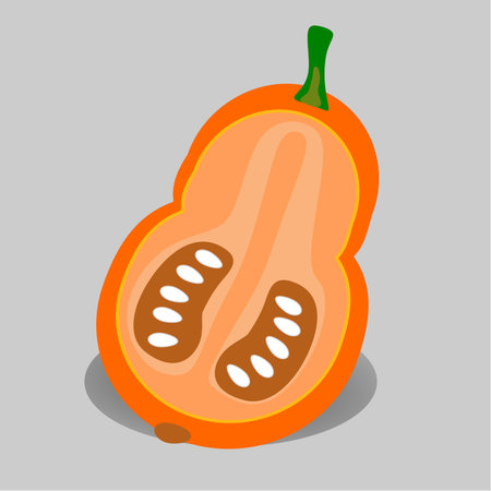 pumkin fruit icon. Vector illustration of a pumkin.のイラスト素材