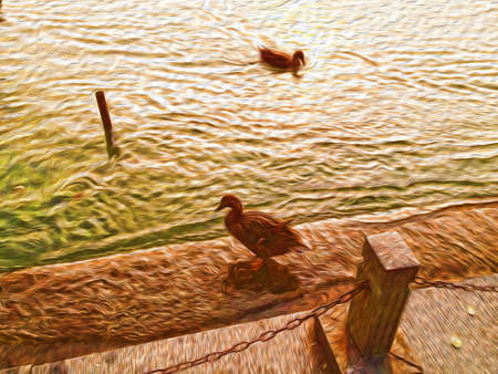 Oil painting ducks backgroundの素材