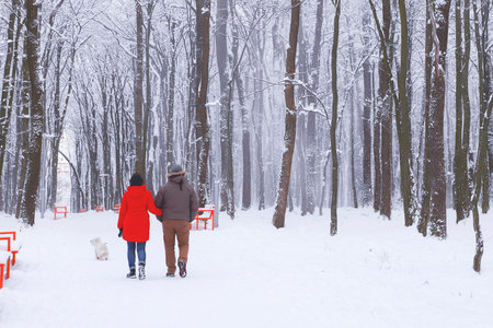 Couple walking with a dog in a snowy parkの写真素材