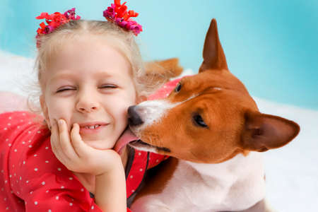 Little blonde curly girl hugging a red basenji dog. A dog licks a girl's cheek.