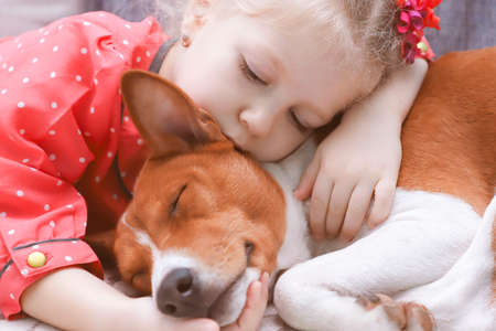 Little blonde curly girl hugging a red basenji dog, close up.の写真素材
