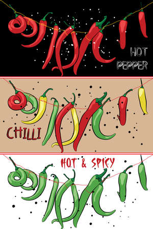 Extra hot chilli peppers hanging on a string. Vector illustration.のイラスト素材