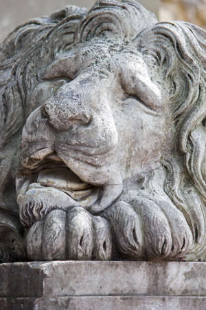 Lion sculpture, close up.の写真素材