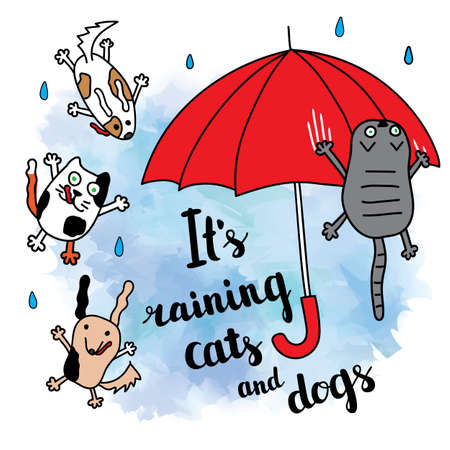 "It's raining cats and dogs" autumn card. Falling raindrops and umbrella with cats and dogs. Bright autumn postcard. Vector illustration.のイラスト素材