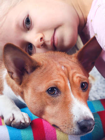 The basenji  dog lies on the girl's legs, the friendship of the child and the animal.の写真素材