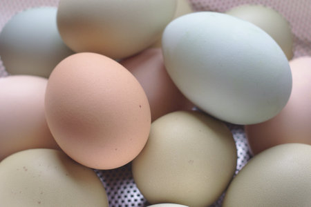 Eggs in a basket on a background of pastel colorsの写真素材