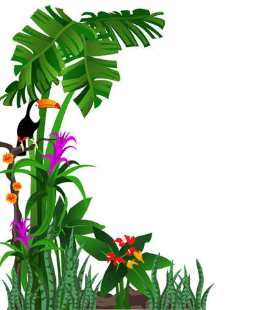 Background illustration of a tropical forest with flowers and a toucanのイラスト素材