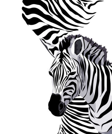 Background illustration with a zebraのイラスト素材
