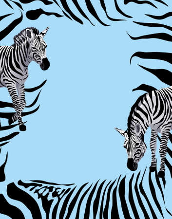 Background illustration with zebras  のイラスト素材