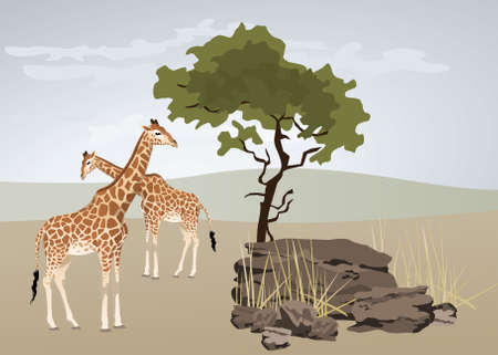 Giraffe illustration with wild landscape of Africaのイラスト素材