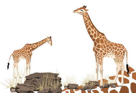 Abstract giraffe illustration with rocks and bushのイラスト素材