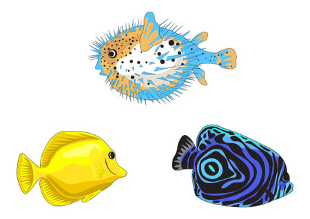 Tropical fish illustrations isolated on white background