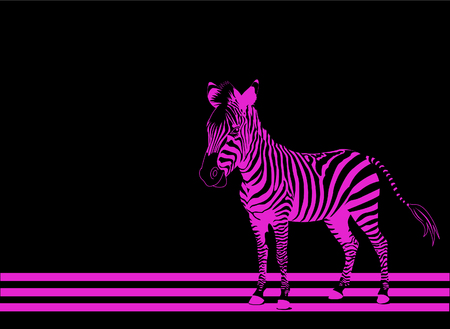 Isolated zebra silhouette texture detail on black backgroundのイラスト素材