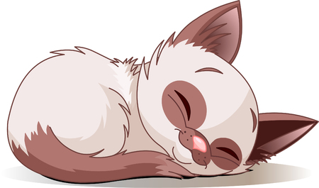  illustration of sleeping cute Siamese kitten のイラスト素材