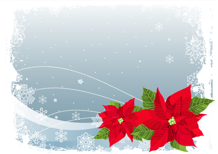Christmas decoration poinsettia flower on Christmas snowing backgroundのイラスト素材