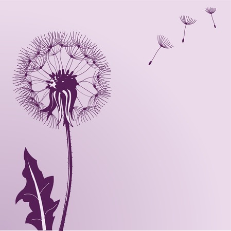 Illustration of Blow Dandelions on color backgroundのイラスト素材