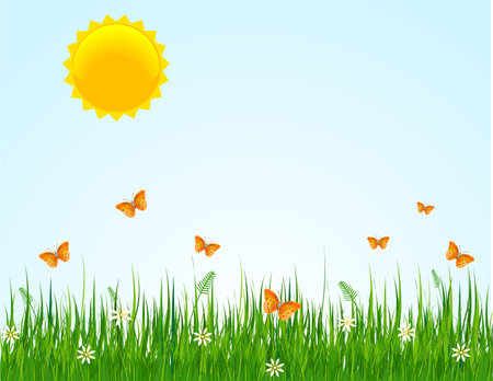 Summer sunny day at the meadowのイラスト素材