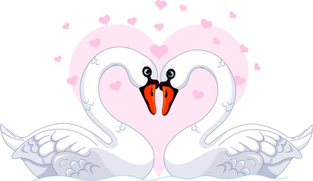 Two beautiful white Swans in loveのイラスト素材