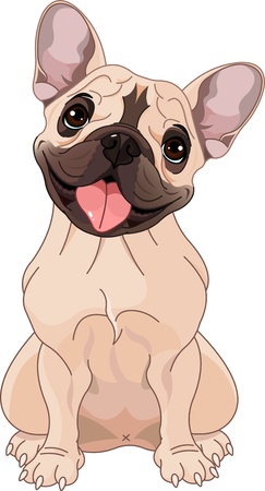 French bulldog, sitting in front of white backgroundのイラスト素材
