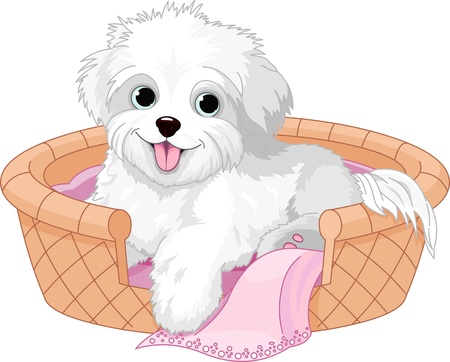 White fluffy dog resting in dog bedのイラスト素材
