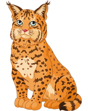 Illustration of wild catのイラスト素材