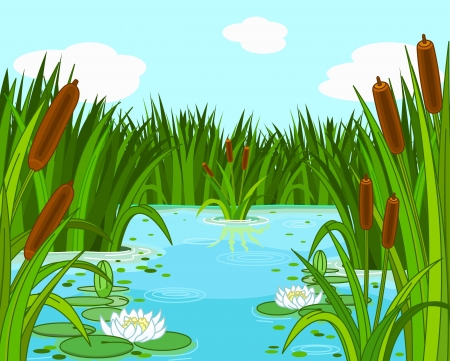 Illustration of a pond sceneのイラスト素材