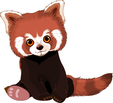 Cute sitting red pandaのイラスト素材