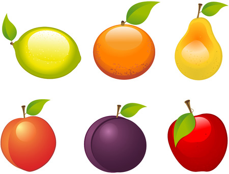 Set of six different fruitsのイラスト素材