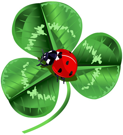 Three leafed clover and ladybug in the center of the screen for St. Patrick's Dayのイラスト素材
