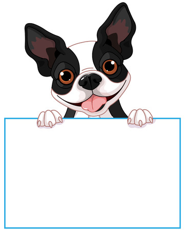 Cute Boston terrier holds a signのイラスト素材