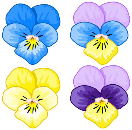Illustration of several pansiesのイラスト素材