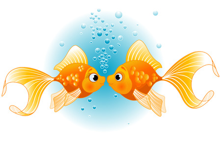 Two Gold Fishes in love before kissのイラスト素材