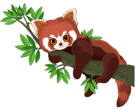 Cute panda is sleeping on a branchのイラスト素材
