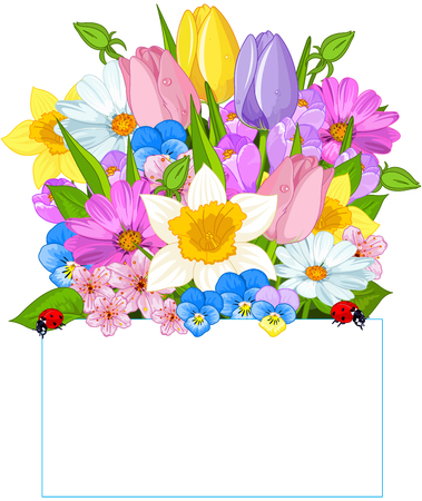 Colorful fresh spring flowers forming a seasonal border   above a blank sign with copy spaceのイラスト素材