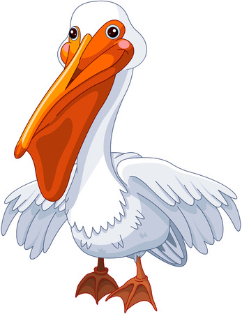 Illustration of cute pelicanのイラスト素材