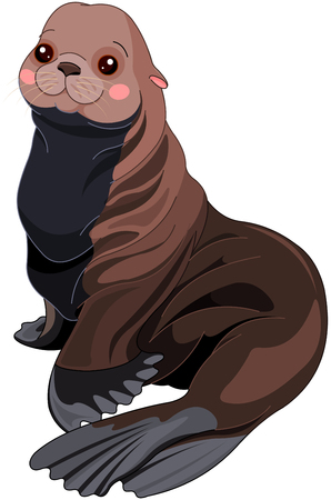 Illustration of cute Fur Seal.のイラスト素材