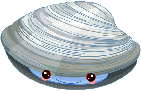 Illustration of cute Quahog.のイラスト素材