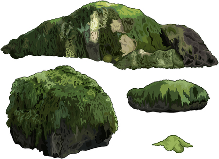 Illustration of collection of stones overgrown with mossのイラスト素材